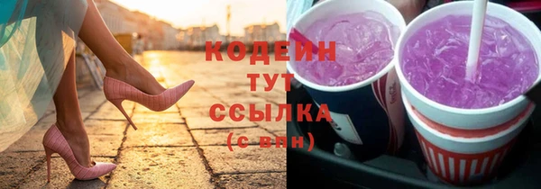 дживик Пересвет