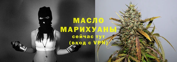 дживик Пересвет