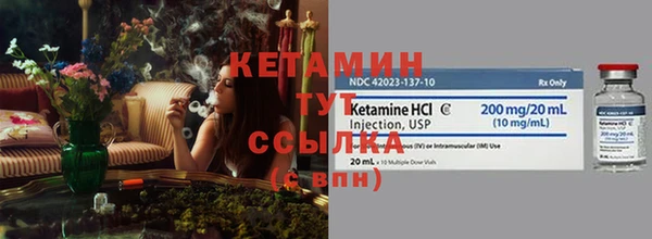 шишки Переславль-Залесский