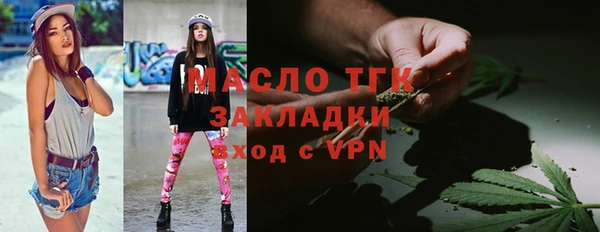 дживик Пересвет