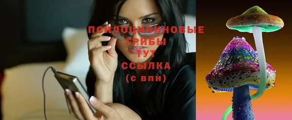 шишки Переславль-Залесский