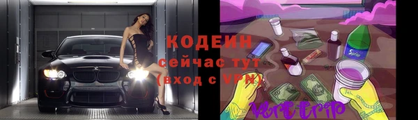 шишки Переславль-Залесский