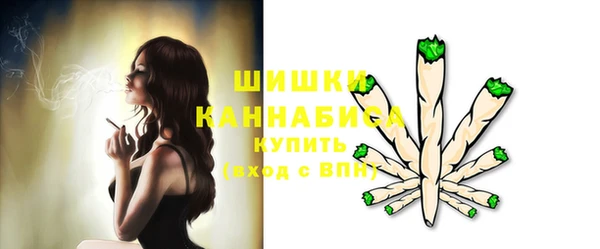 дживик Пересвет