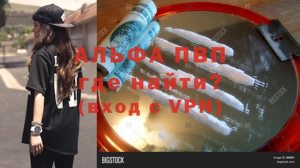 дживик Пересвет