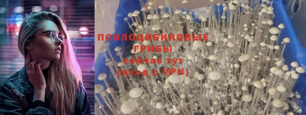 экстази Пестово