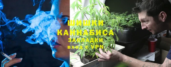 шишки Переславль-Залесский
